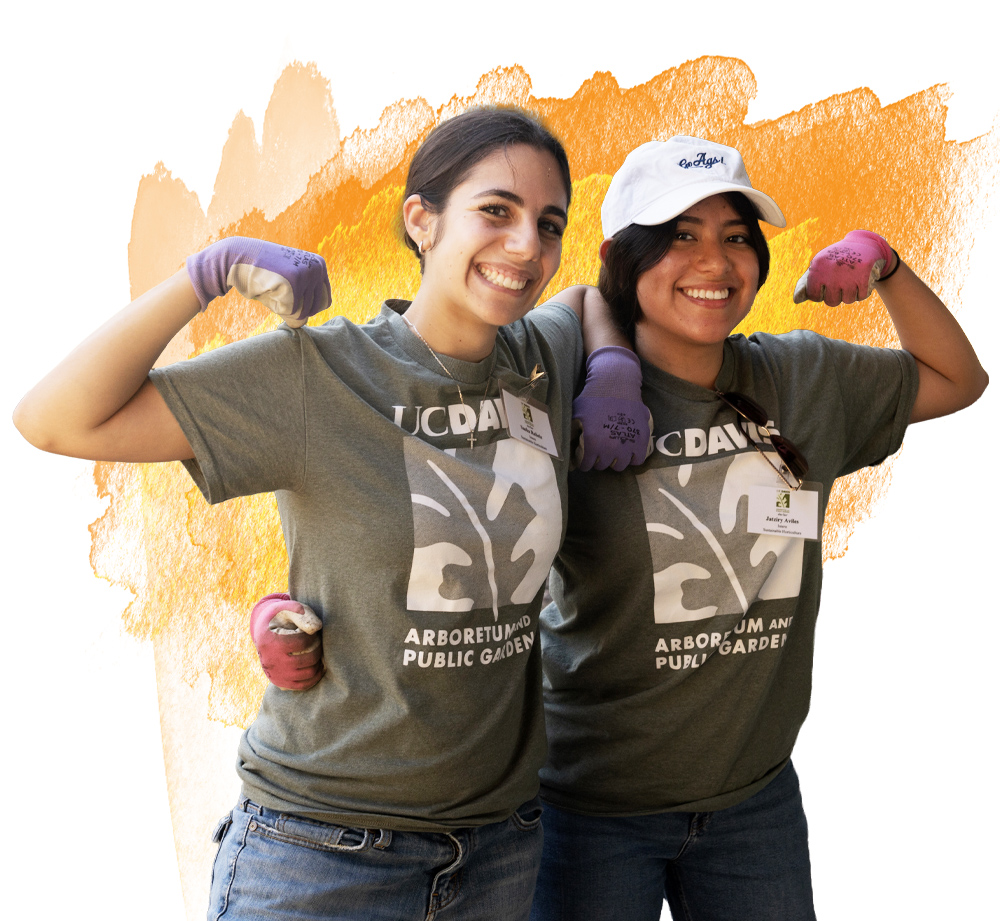 Two students wear UC Davis Arboretum and Public Garden T-shirts and gardening gloves. They smile and pose with flexed arms. One wears a white “Go Ags!” hat. An orange watercolor background appears behind them.